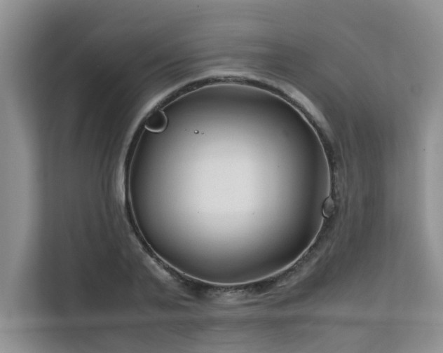 X0000111680791200907241232