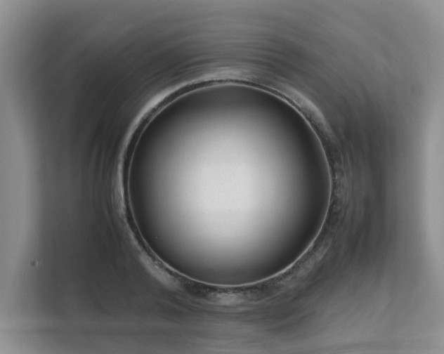 X0000111680792200907241232