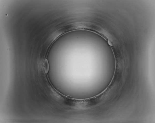 X0000111680793200907241232