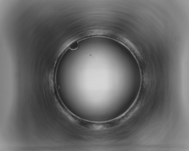 X0000111680794200907241232