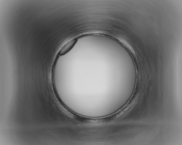 X0000111680797200907241232