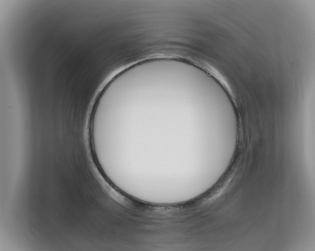 X0000111680803200907241232