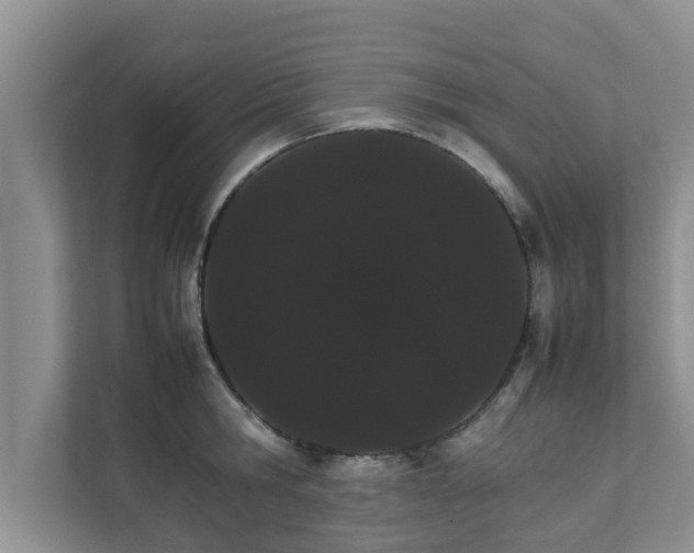 X0000111680806200907241232