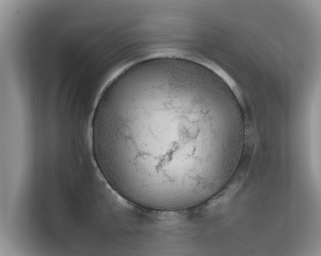 X0000111680807200907241232