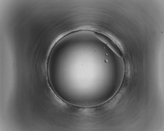 X0000111680808200907241232