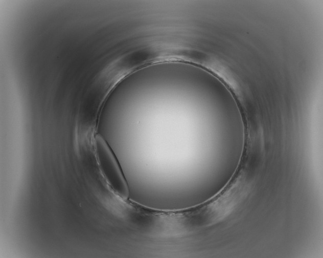 X0000111680809200907241232