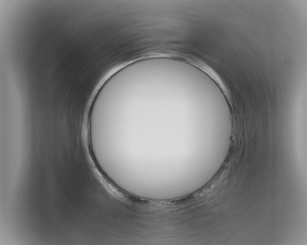 X0000111680811200907241232