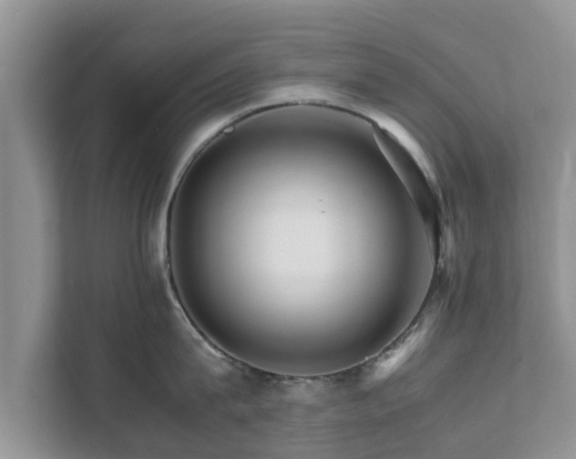 X0000111680815200907241231