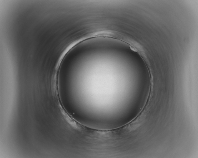 X0000111680816200907241231