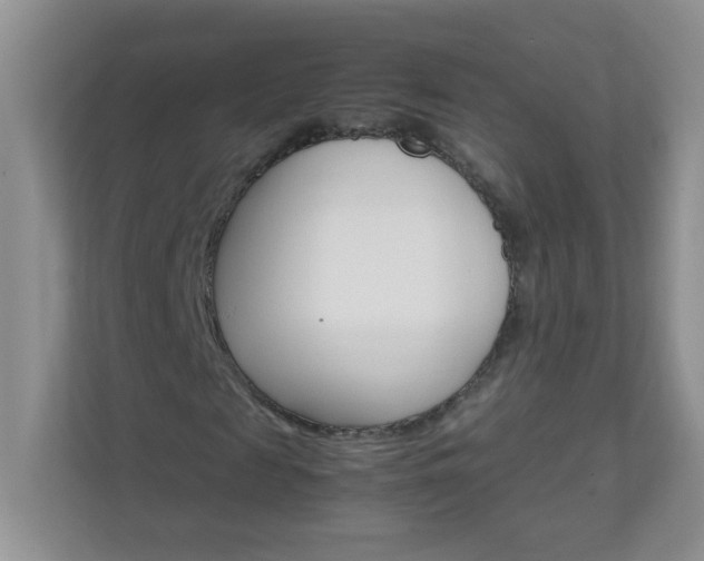 X0000111680817200907241231