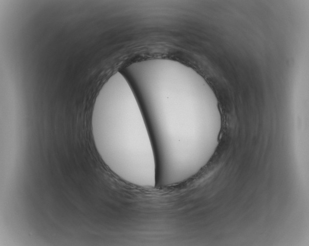 X0000111680818200907241231