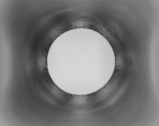 X0000111680820200907241231