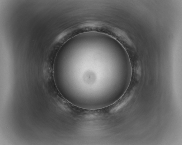 X0000111680822200907241231