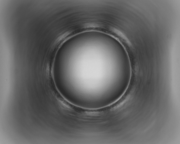 X0000111680825200907241231