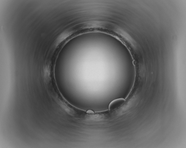 X0000111680826200907241231