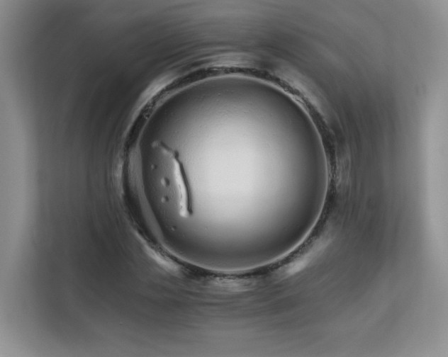 X0000111680829200907241231