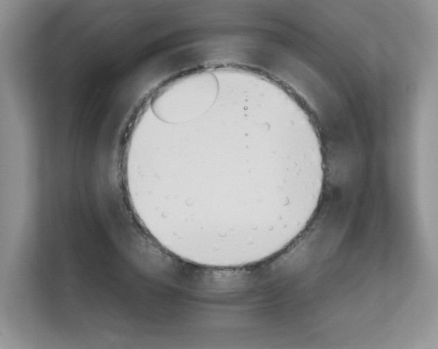 X0000111680832200907241231