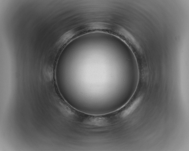 X0000111680833200907241231