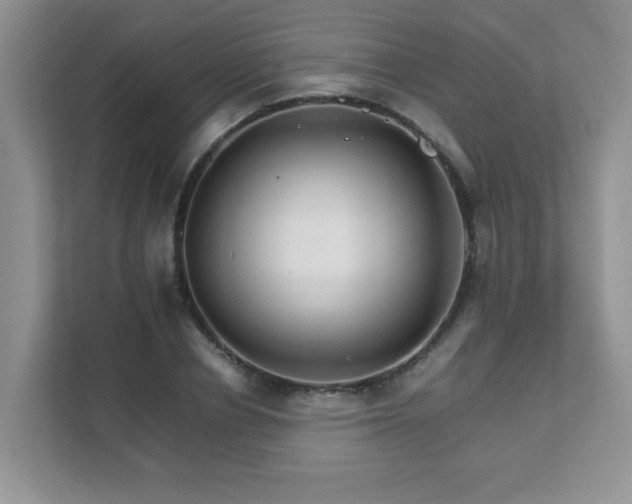 X0000111680834200907241231