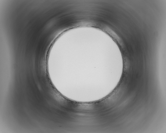 X0000111680836200907241231