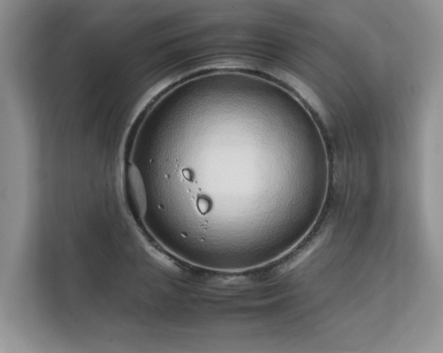 X0000111680837200907241231