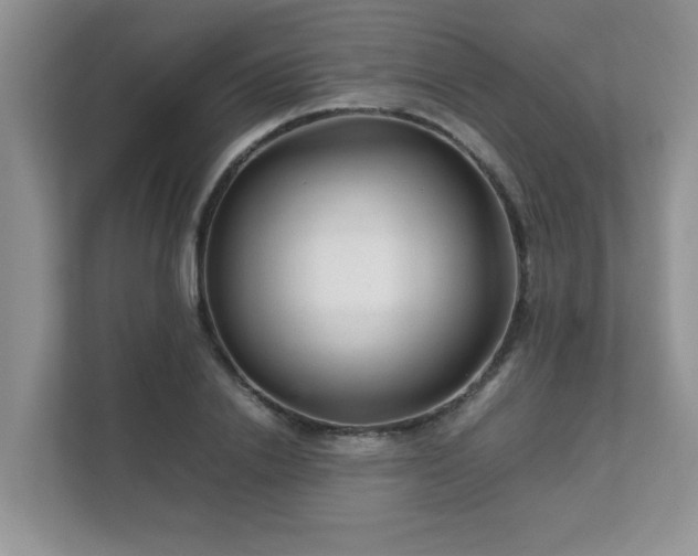 X0000111680838200907241231