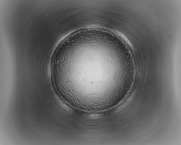 X0000111680839200907241231