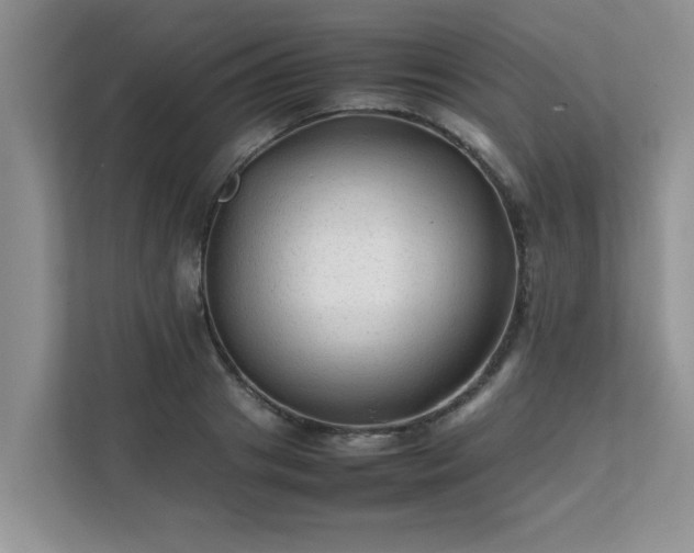 X0000111680841200907241231