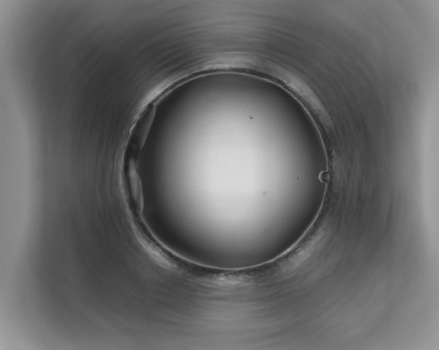 X0000111680842200907241231