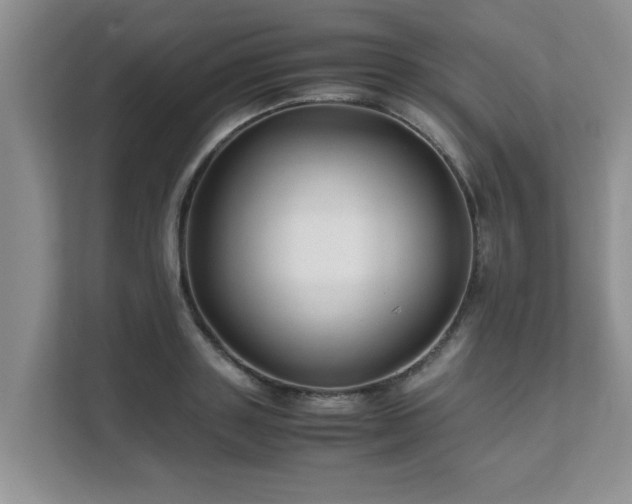 X0000111680843200907241231