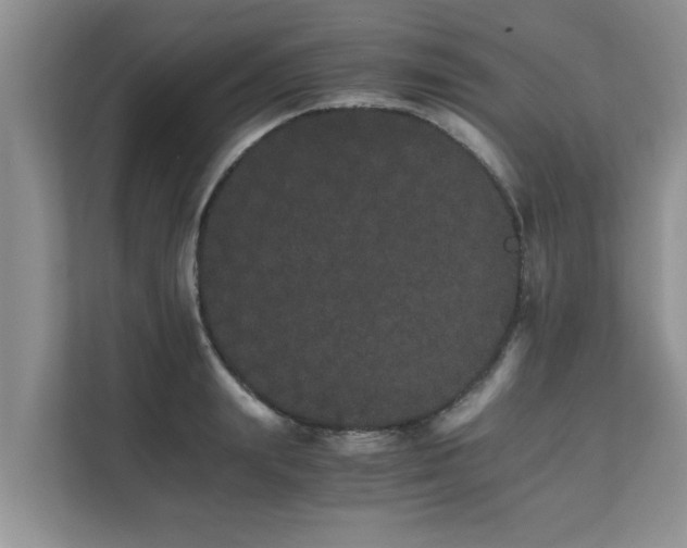 X0000111680847200907241231