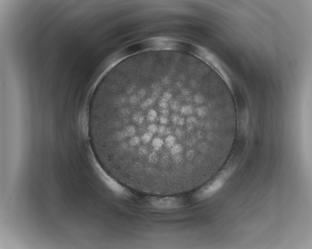 X0000111680851200907241231