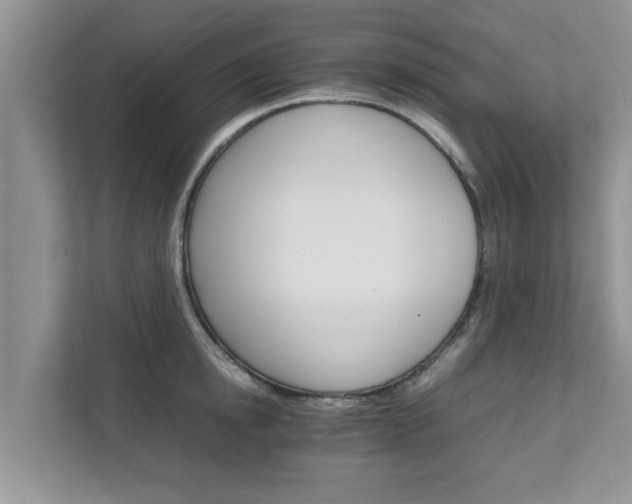 X0000111680854200907241231