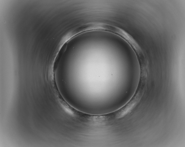 X0000111680858200907241231