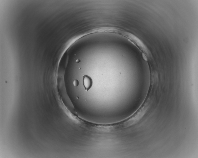 X0000111680860200907241231