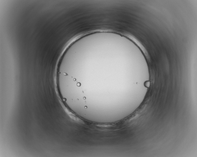 X0000111680861200907241231