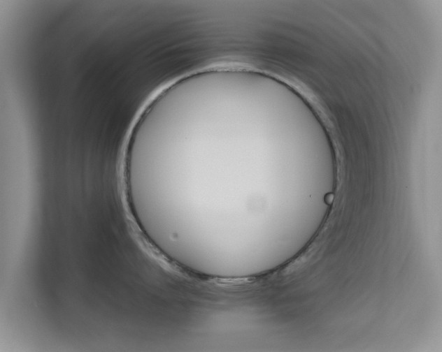 X0000111680864200907241231