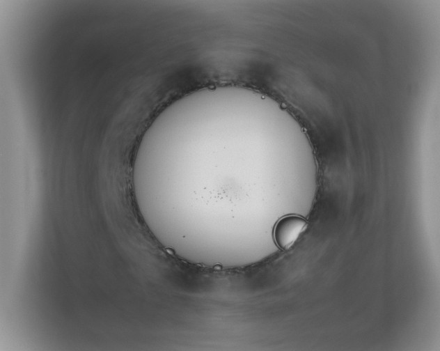 X0000111680865200907241231