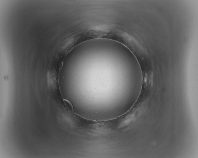 X0000111680867200907241231