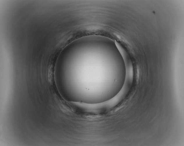 X0000111680868200907241231