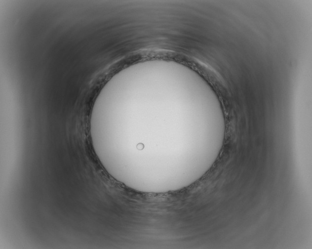 X0000111680870200907241231