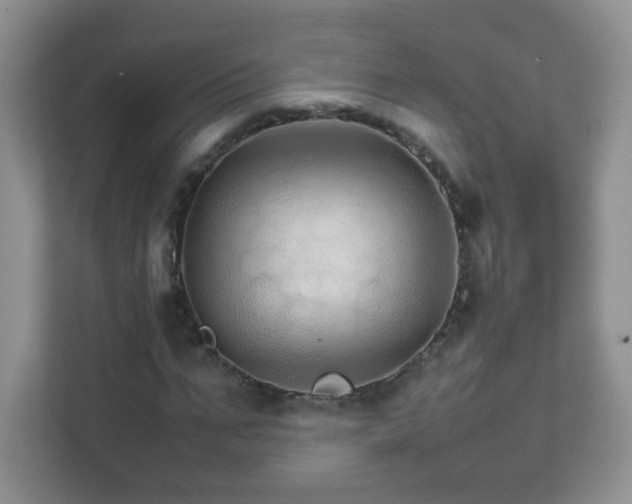 X0000111680871200907241231