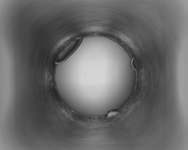 X0000111680872200907241231