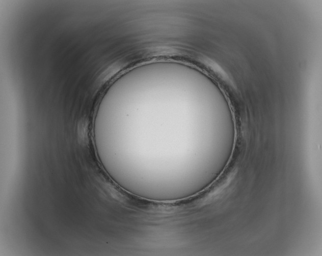 X0000111680873200907241231