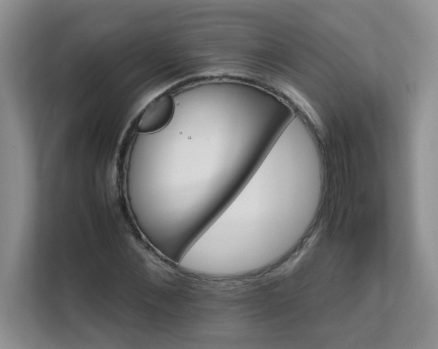 X0000111680876200907241231