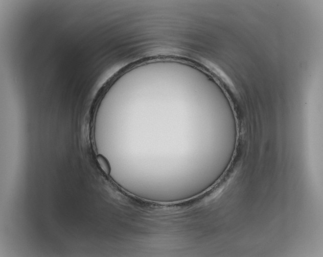 X0000111680877200907241231