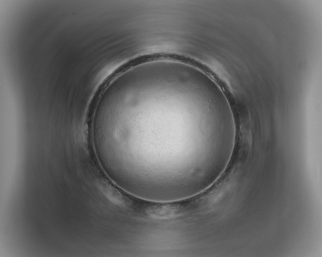 X0000111680879200907241231