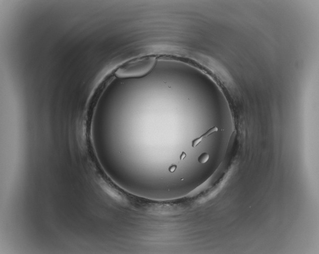 X0000111680880200907241231