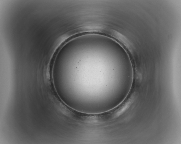 X0000111680883200907241231