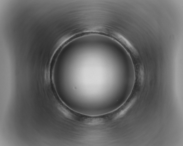 X0000111680884200907241231